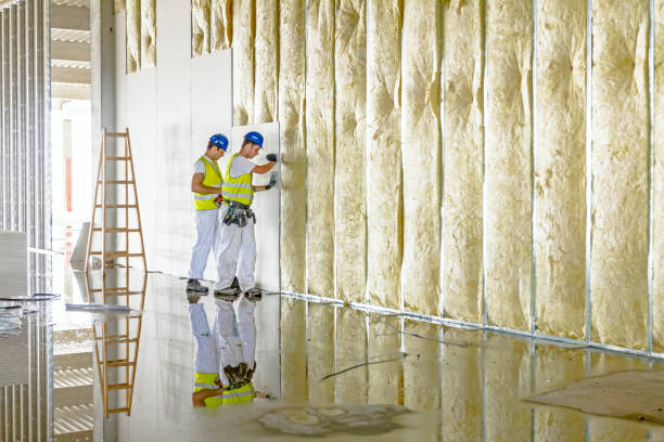 Best Insulation Maintenance and Repair in Wilmington, OH